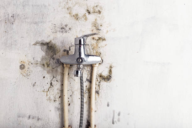 Best Mold Remediation  in Garden City, KS
