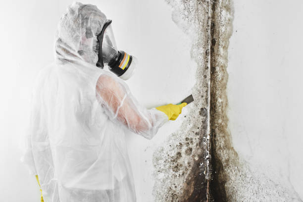 Best Mold Testing  in Garden City, KS