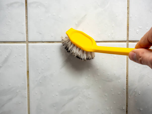 Best Toxic Mold Removal  in Garden City, KS