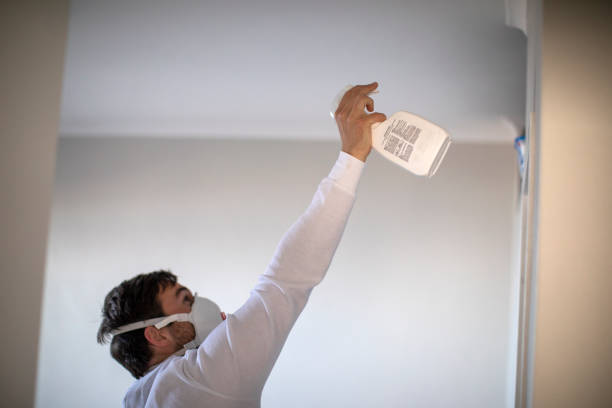 Best Mold Testing and Removal  in Garden City, KS