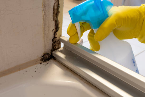 Best Mold Removal Near Me  in Garden City, KS