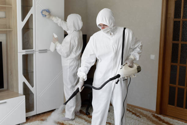 Best Professional Mold Removal  in Garden City, KS