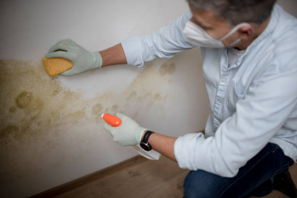 Best Crawl Space Mold Removal  in Garden City, KS