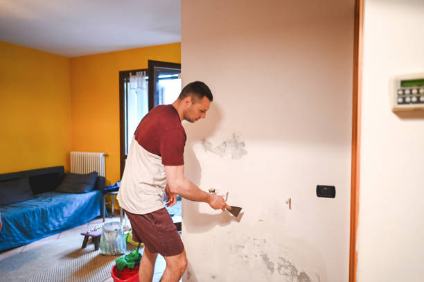 Best Professional Mold Removal  in Garden City, KS