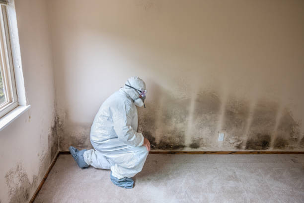 Best Mold Testing  in Garden City, KS