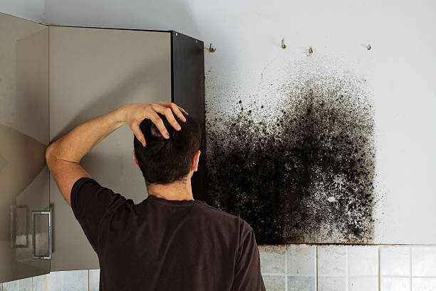 Mold Removal Process in Garden City, KS