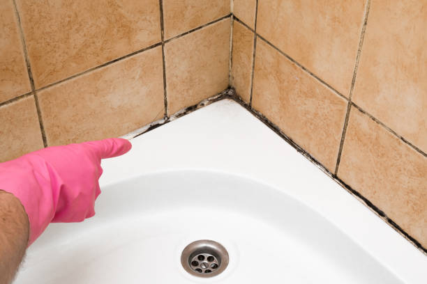 Best Mold Removal and Inspection  in Garden City, KS